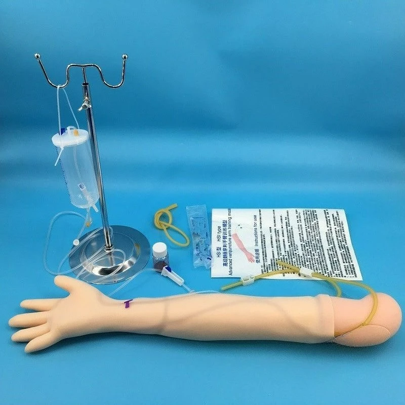 Simulated Long Arm Display Model Teaching Demonstration Accessory