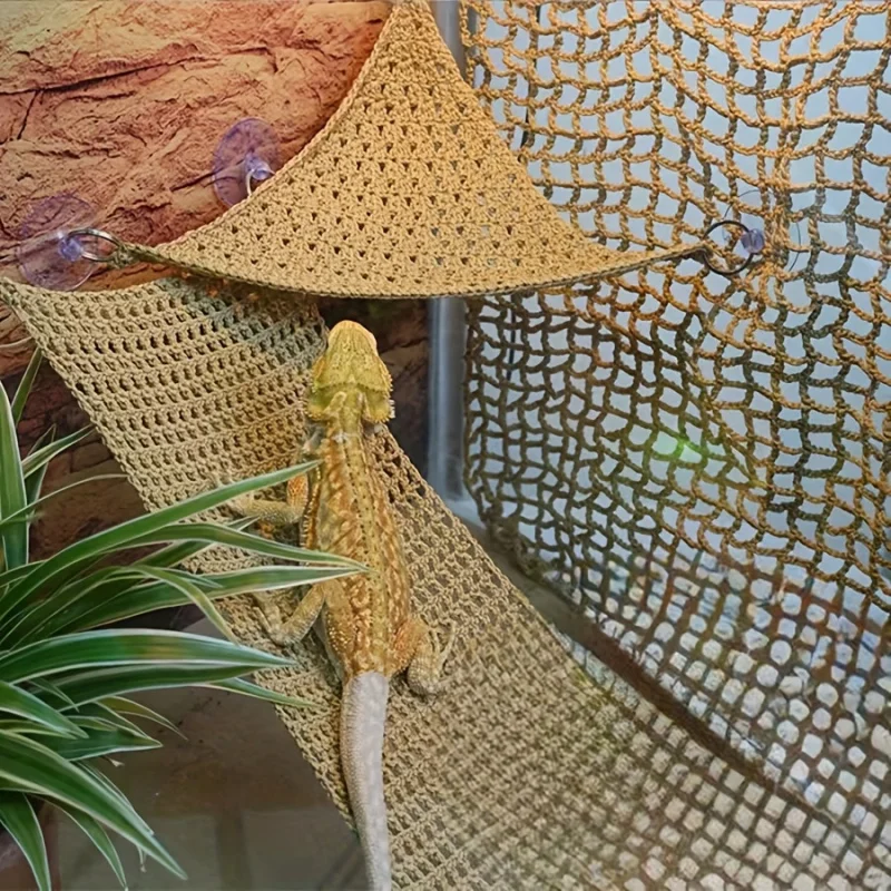 

3-Piece Set Including a Suction Cup for Securing a Woven Climbing Net, a Washable Hammock, Perfect for Bearded Dragon Pets