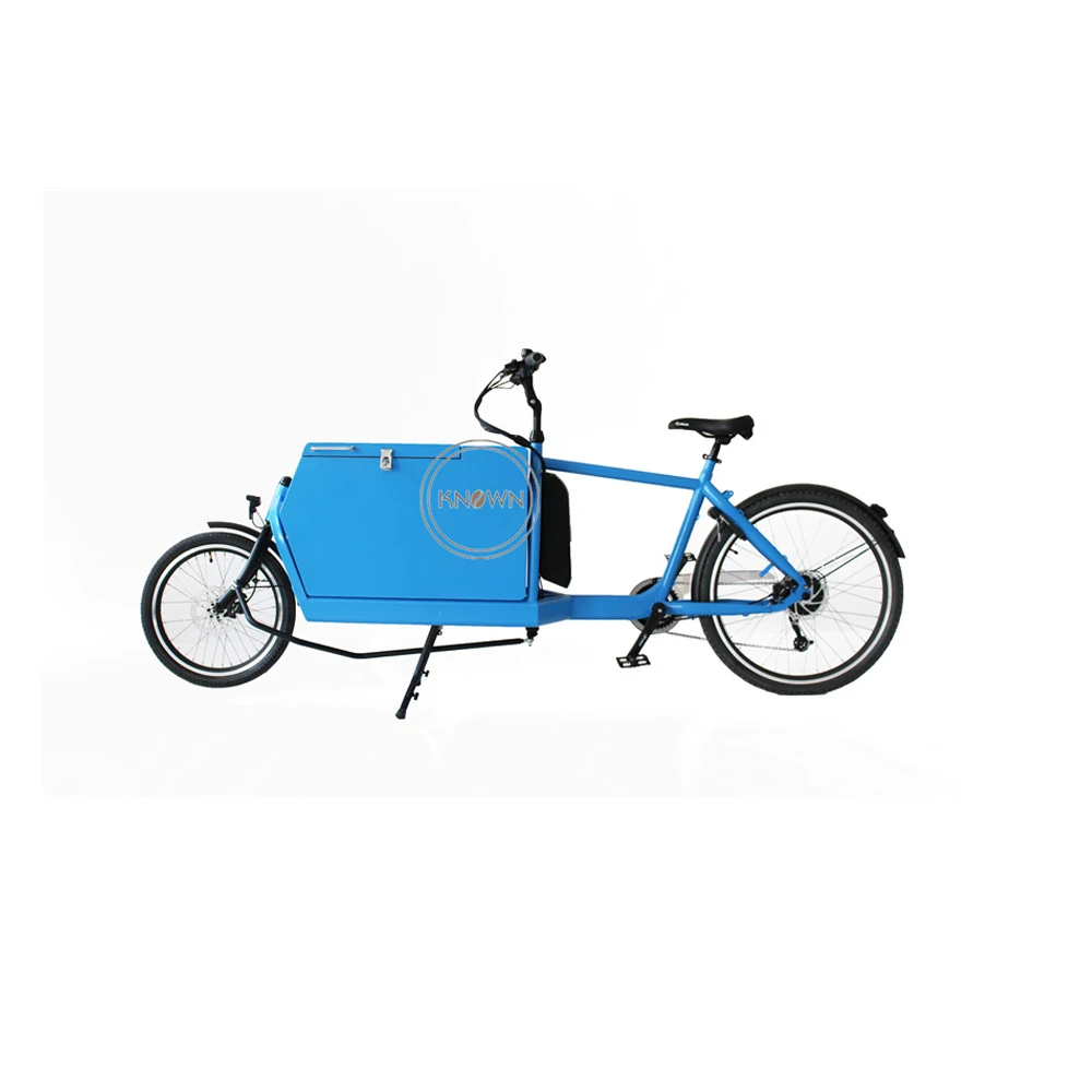 

Hot Selling Two Wheel Electric Cargo Bike Mobile Safe Child Transport Vehicle Heavy Loading Manned Bicycle