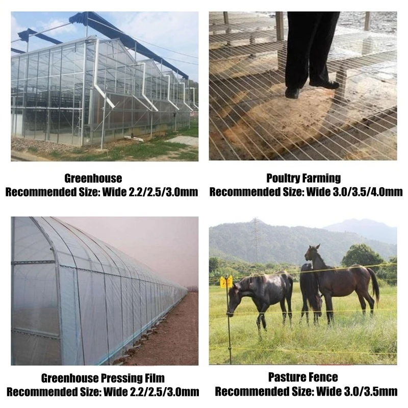 50m Plastic Steel Wire Agriculture Greenhouse Pressed Film String Shading Net Garden Plant Climbing Vine Holder Supporting Line