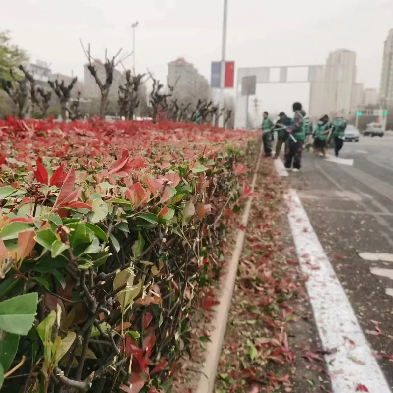 New Design Eco-Friendly 30Km/h Ride-on Hedge Trimmer Roadside Green Belt Trimming Machine