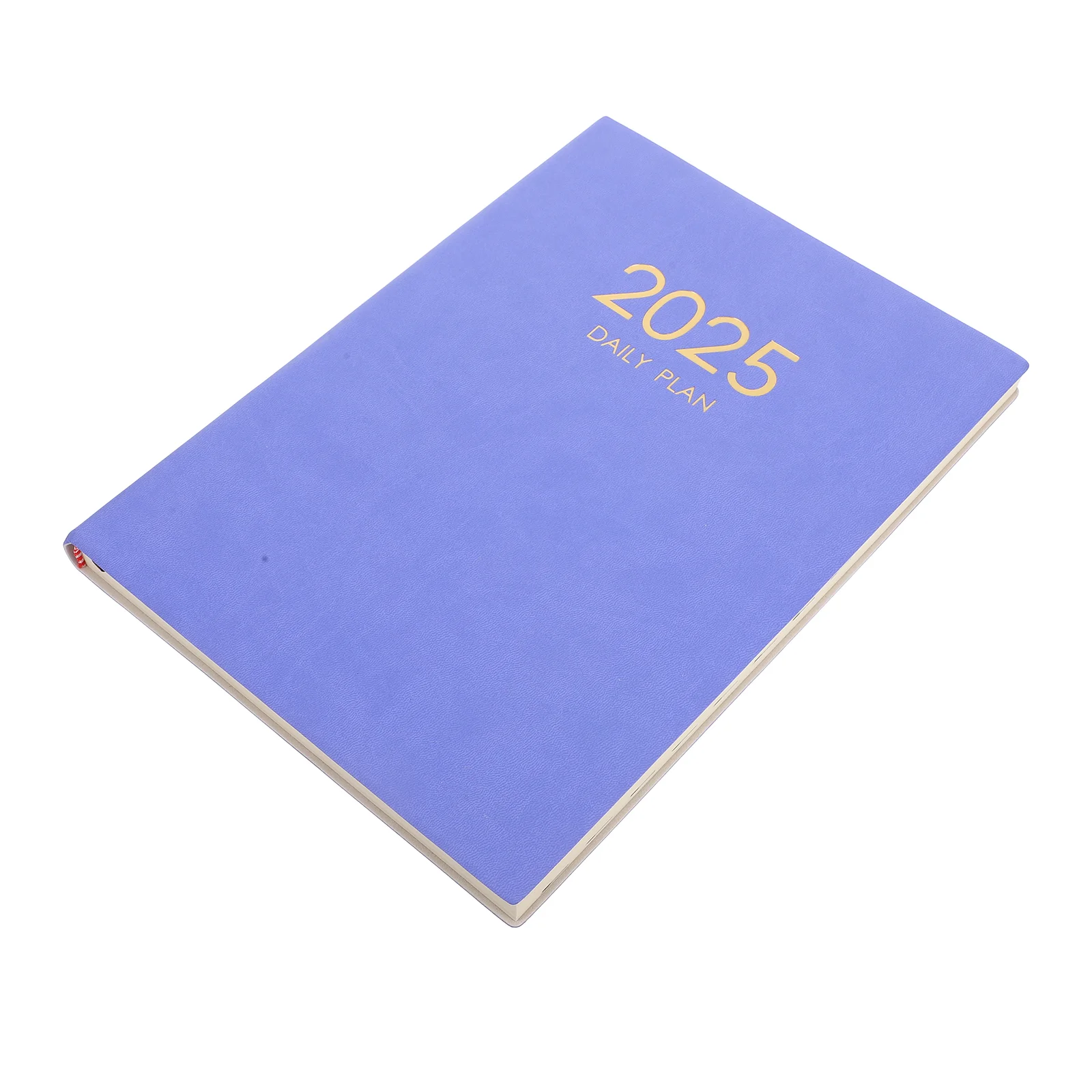 

2025 Schedule Daily Planner Agenda Planning Notebook to Weekly Yearly Appointment