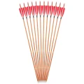 12PCS Red