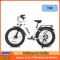 TX8 All-Terrain Beast E-Bike 750W Rear Motor CST 4.0 All-Terrain Tires 48V19.2Ah Long Range Hydraulic Brakes EU Local Delivery