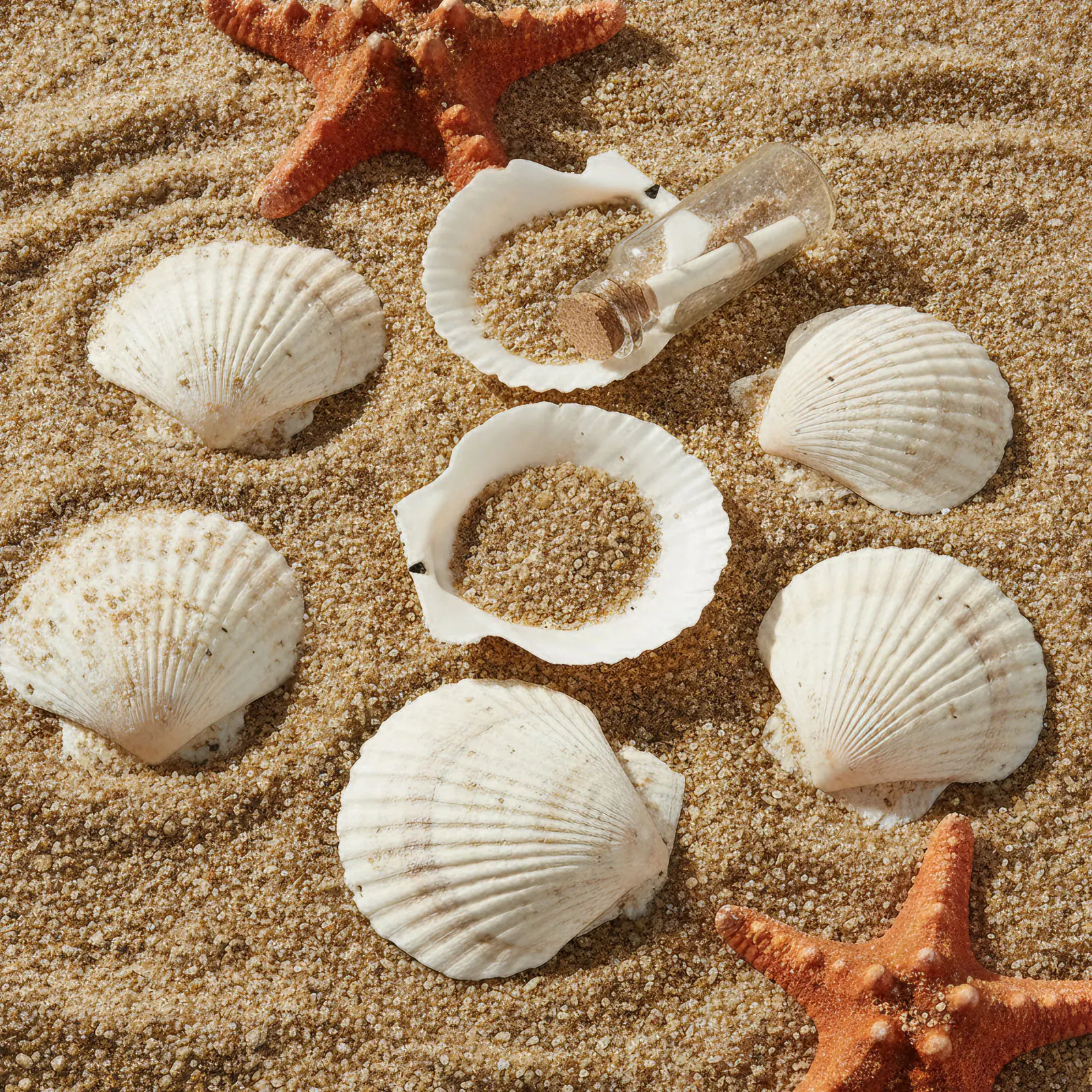 8/60Pcs Natural Scallop Seashells 4-5 inch for DIY Painting Projects Coastal Crafts Beach Theme Decor Aquarium Decorations view 6