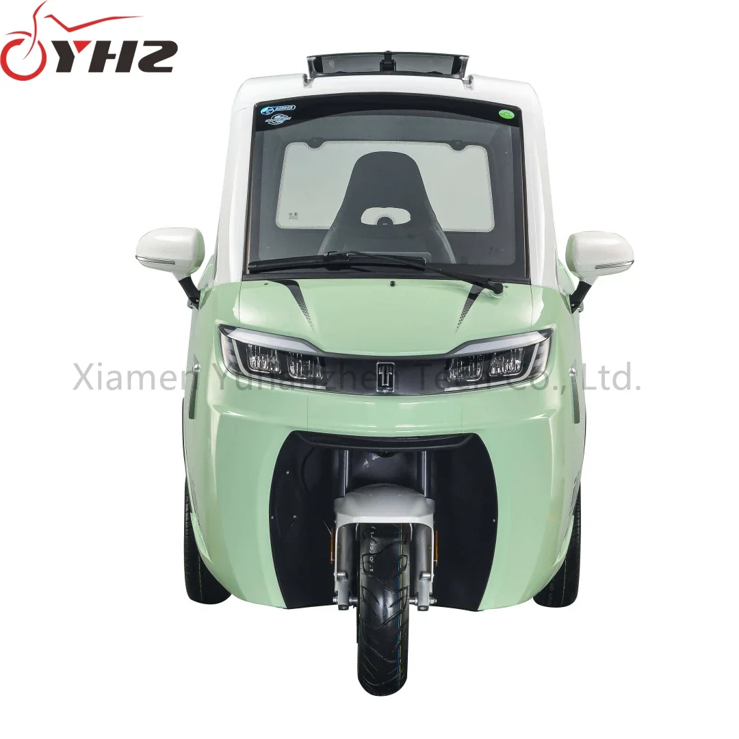 New energy three wheels car fully enclosed electric tricycle 1500W 2000W mobility scooter with 2-3 seats