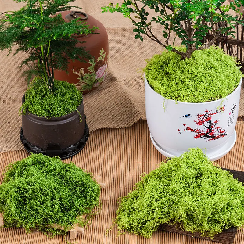 Simulated Moss Landscape Bonsai Paving Grass Green Plant Decoration Silk like False Moss DIY Artificial Moss Lawn Outdoor Green