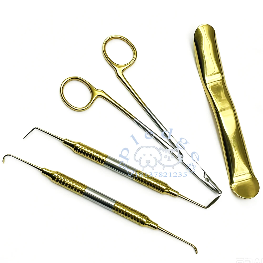 Veterinärmedizinisches Zahninstrumenten-Set, Zahnextraktions-Kit für Haustiere, Zahnheber, Zahnsonden, Zangen, Mundöffner für Hunde, Katzen und andere Tiere. – Detail 2