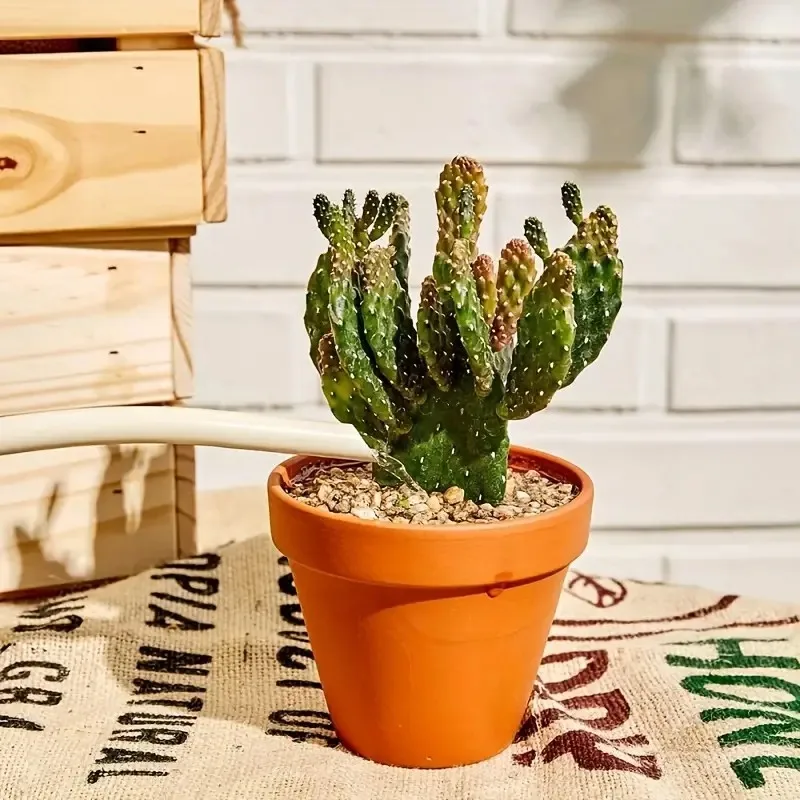 24 قطعة 2.5 بوصة أواني تيرا كوتا الفخار زارع الصبار أواني الزهور وعاء عصاري مع فتحة الصرف-رائع للنباتات والحرف اليدوية