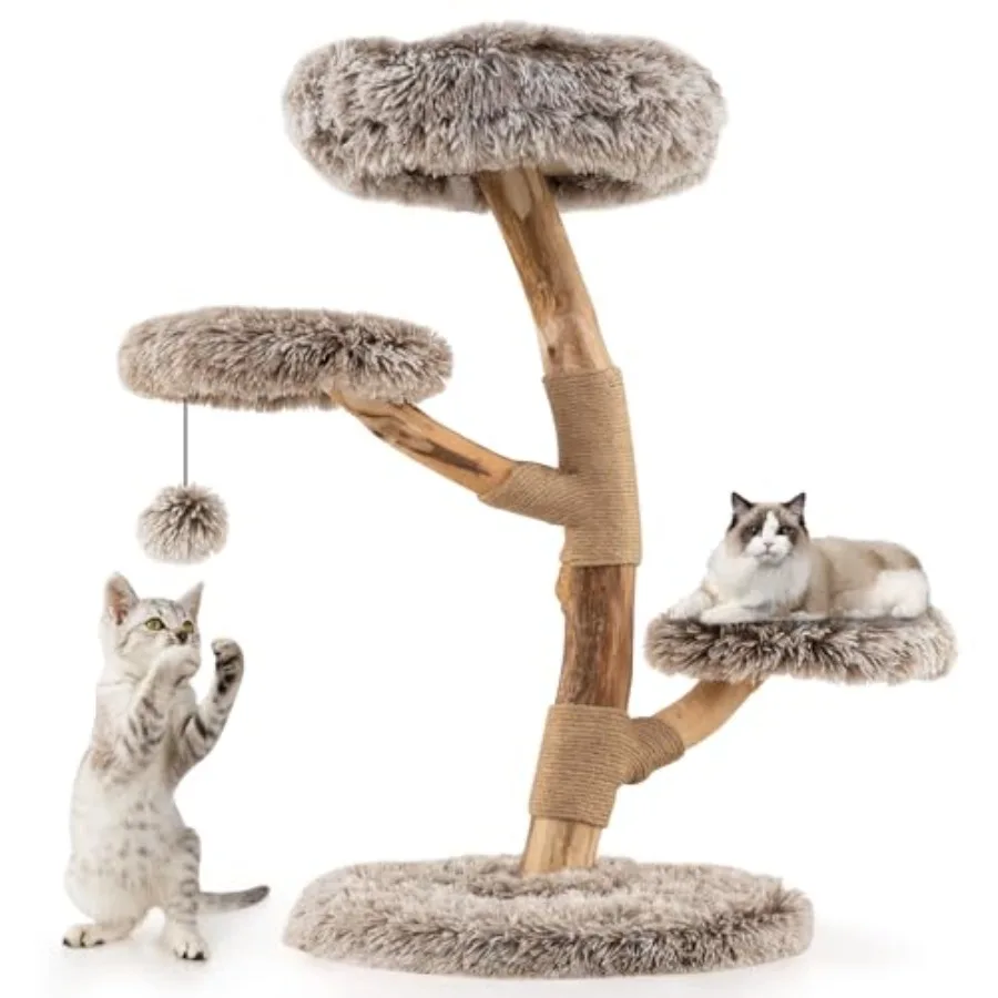 

Solid Wood Cat Tree Multi-Level Modern Cat Tower with Scratching Posts Cozy Top Perch 2 Platforms Dangling Ball Soft Long Plush