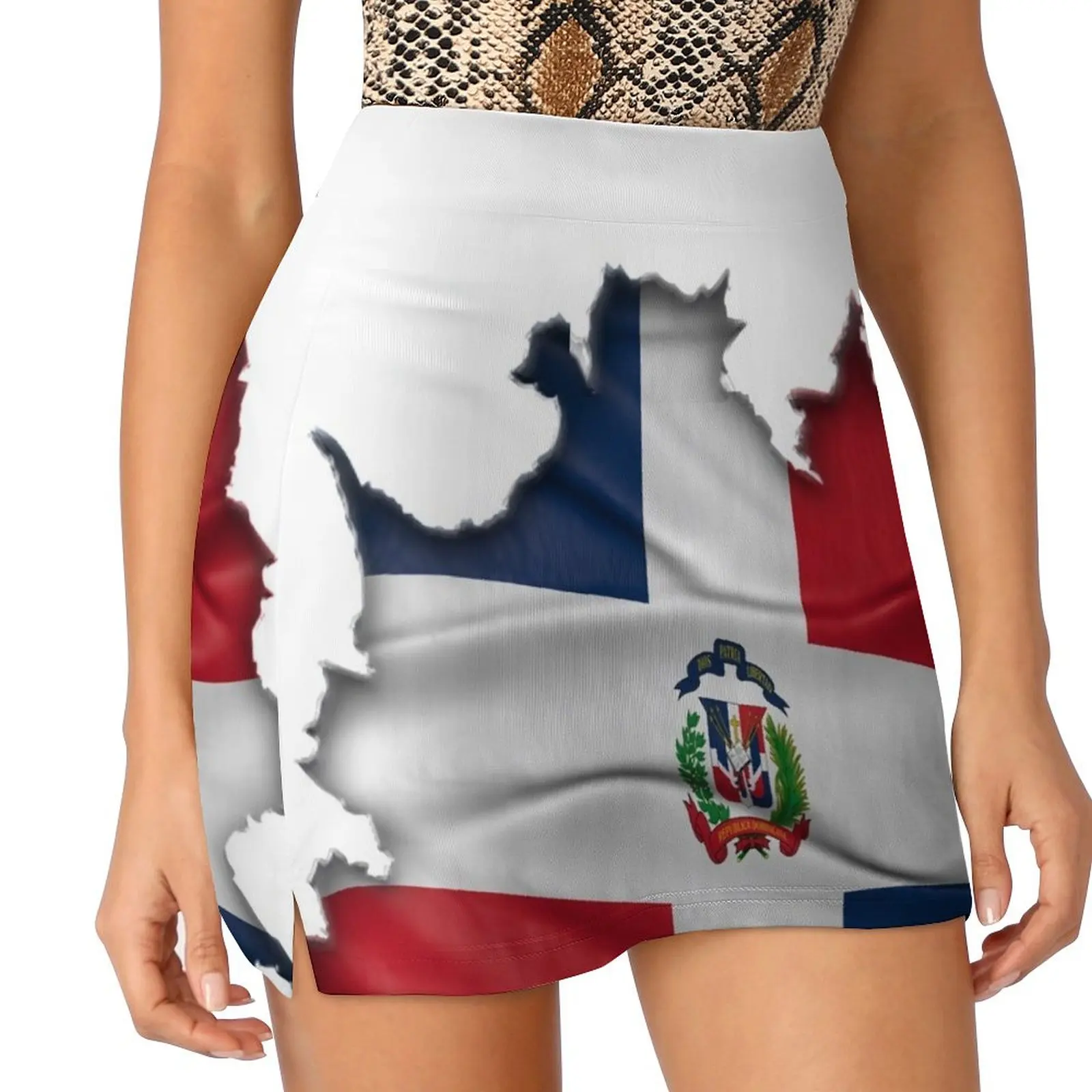 Dominican Republic Flag Underneath - República Dominicana Bandera Debajo Mini Skirt skirt set korean women's clothes