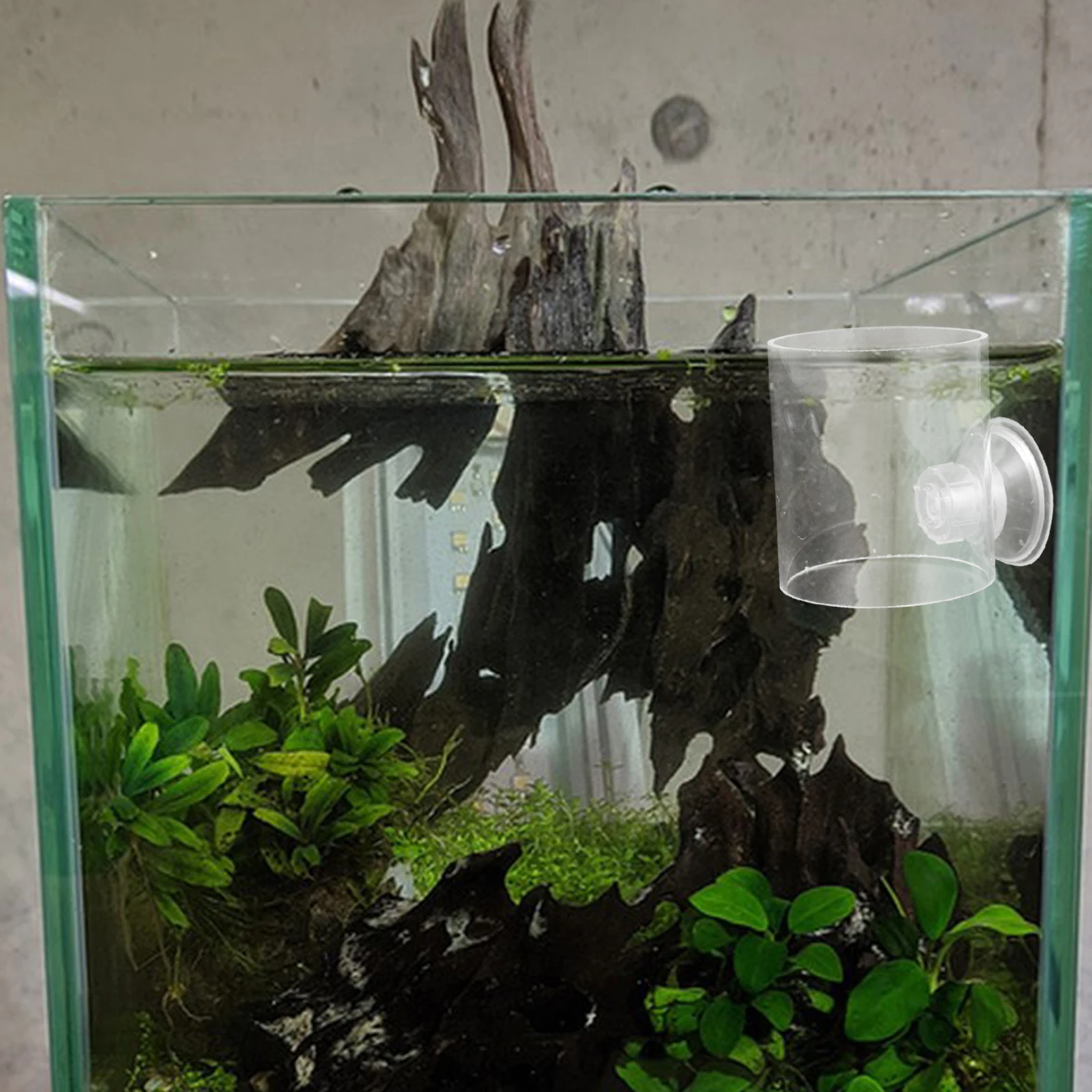 

Transparent Suction Cup Fish Feeder Fish Tank Feeding Ring Aquarium Feeder Prevent Scattering Controlled Dispersion Reusable