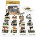 C 24PCS