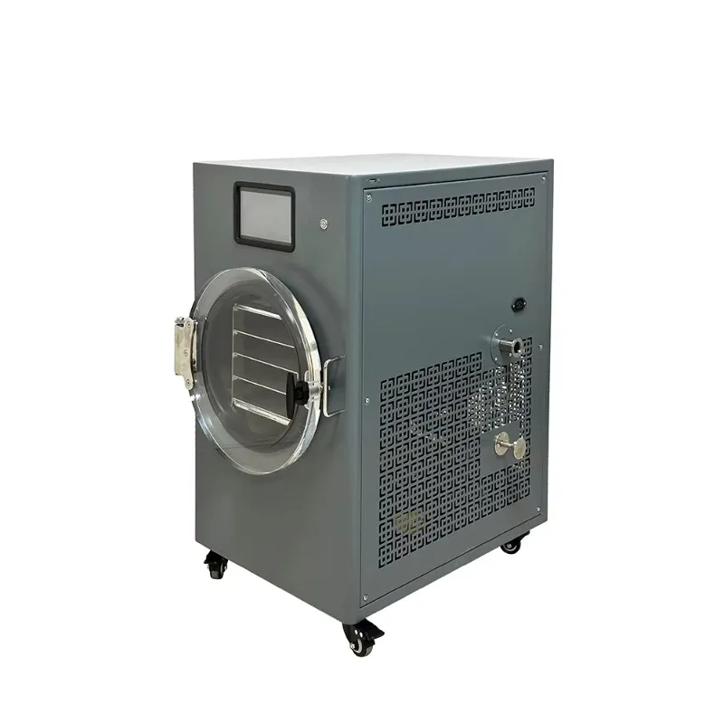 Custom Lanphan Freeze Dryer Machine With Integrated Vacuum Pump System