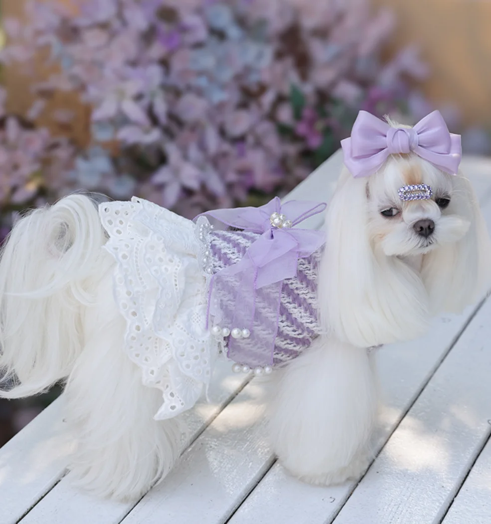 

Winter Autumn Fleece Pet Clothing Pearl Lace Exquisite Little Dog'S Dress Maltese Chihuahua Teddy Beagle