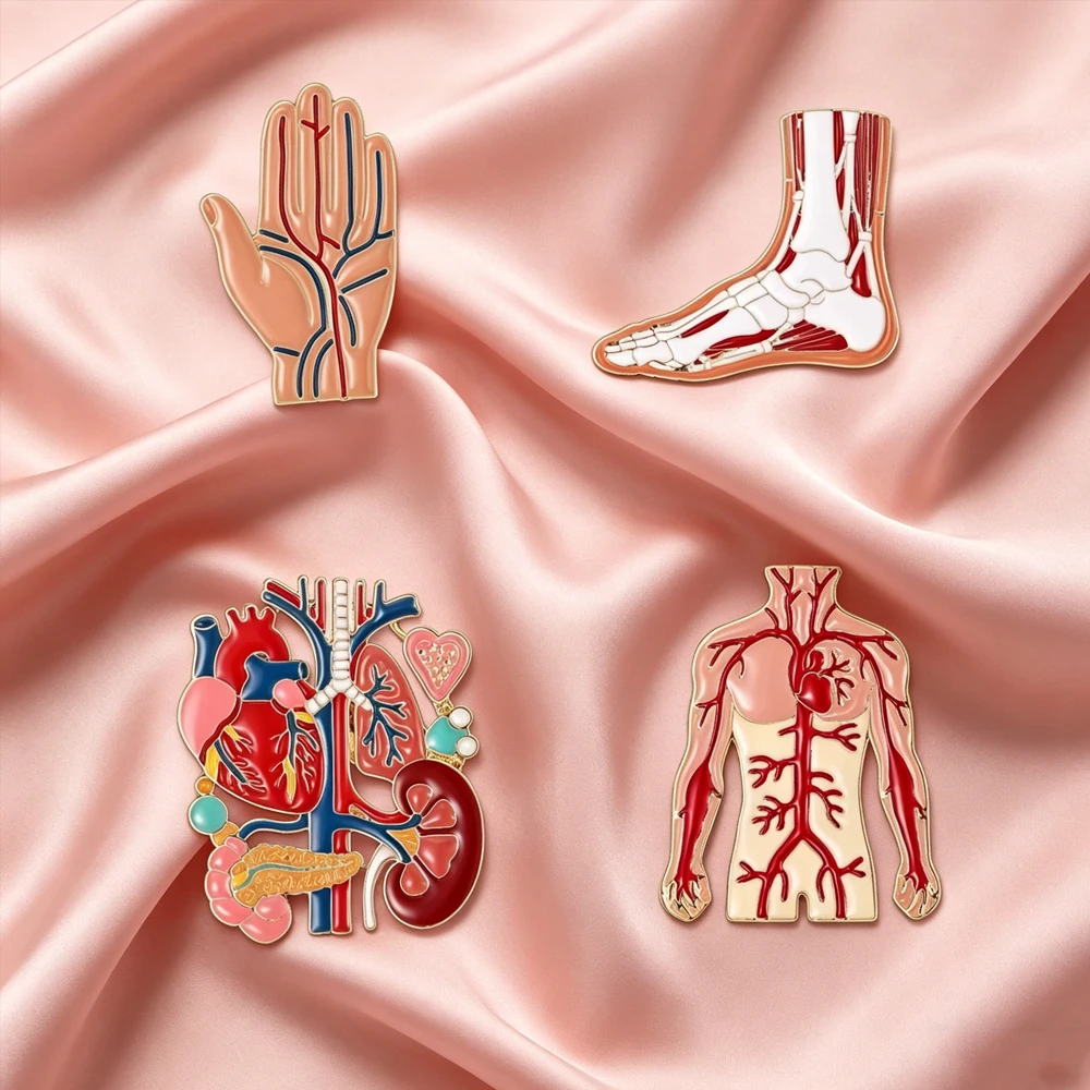 Medsor Human Anatomy Enamel Pin Set  Hand Foot  And Thoracic Organ Structure Pins Medical Accessories For Doctors And Nurses