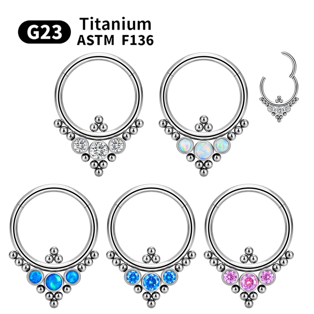 G23 Titanium F316 Nose Piercing Ring Nariz Piercing Ear Cartilage Tragus Goth Piercing Nez Earrings Nase Septum Piercing Ring