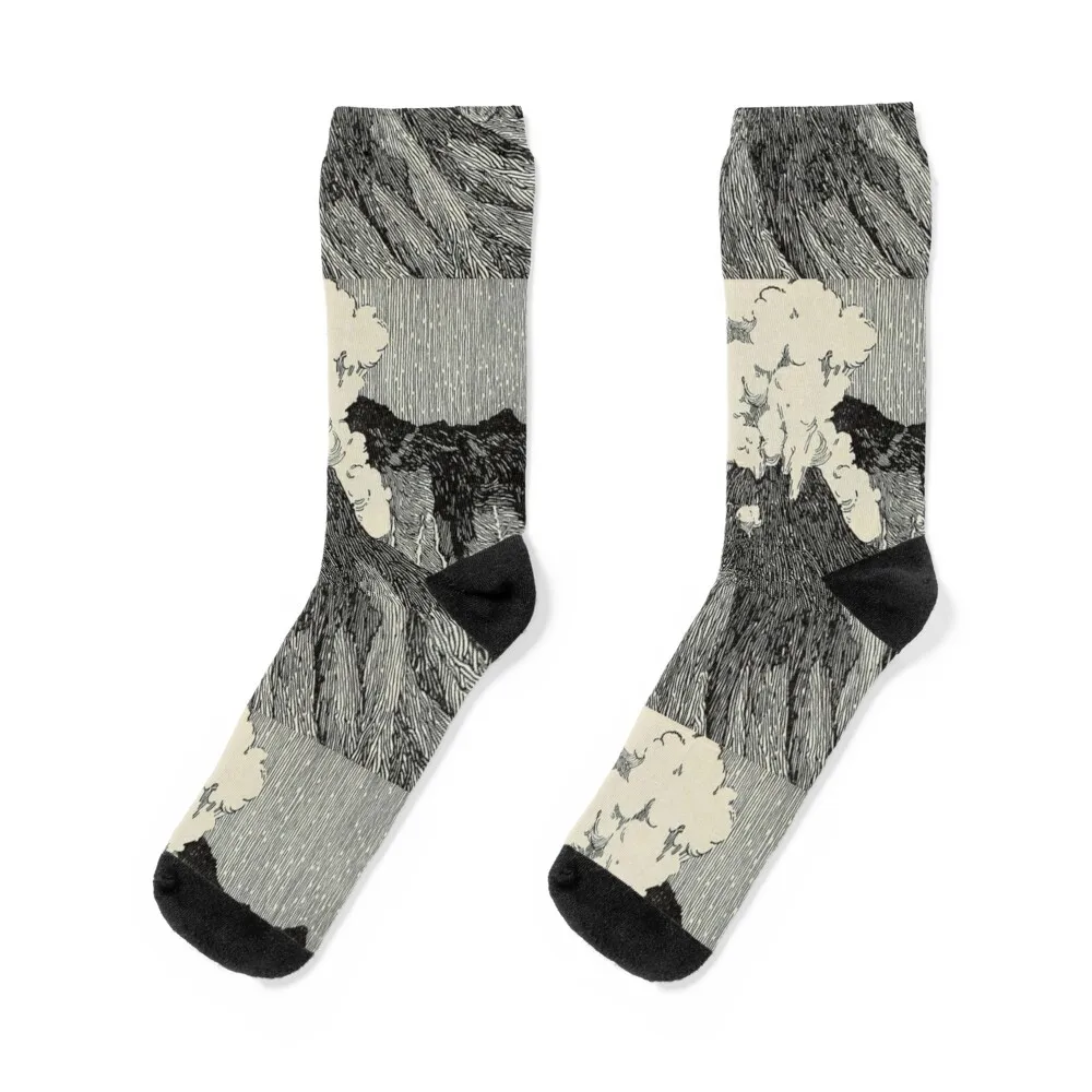 

Naturalist Volcano Socks men cotton high quality Thermal man winter anime cotton Male Socks Women's