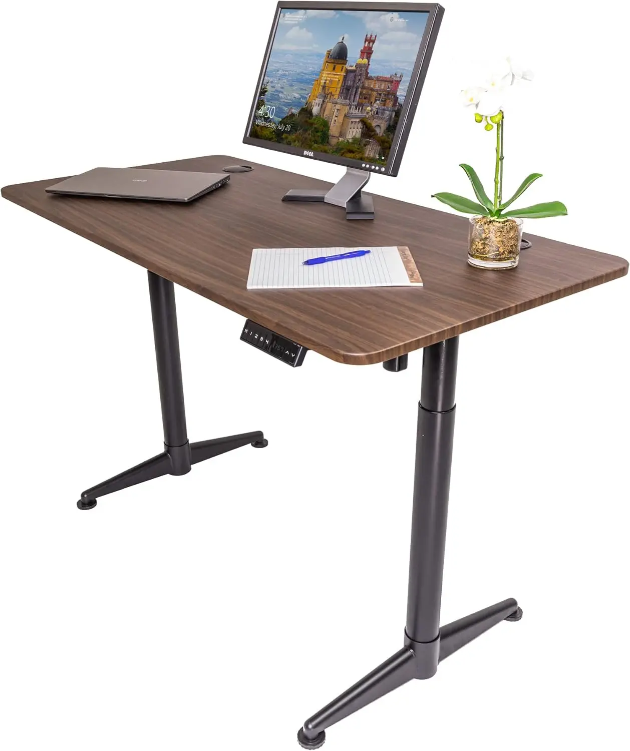 

ApexDesk Vortex Series M Edition 55" Electric Height Adjustable Standing Desk with Memory Controller, Walnut Top, Black