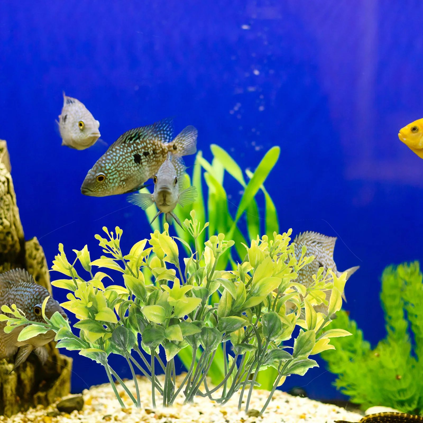 

30Pcs Premium Plastic Aquarium Artificial Plant Lifelike Fake Aquatic Grass Ornament for Fish Tank Decorations Interior