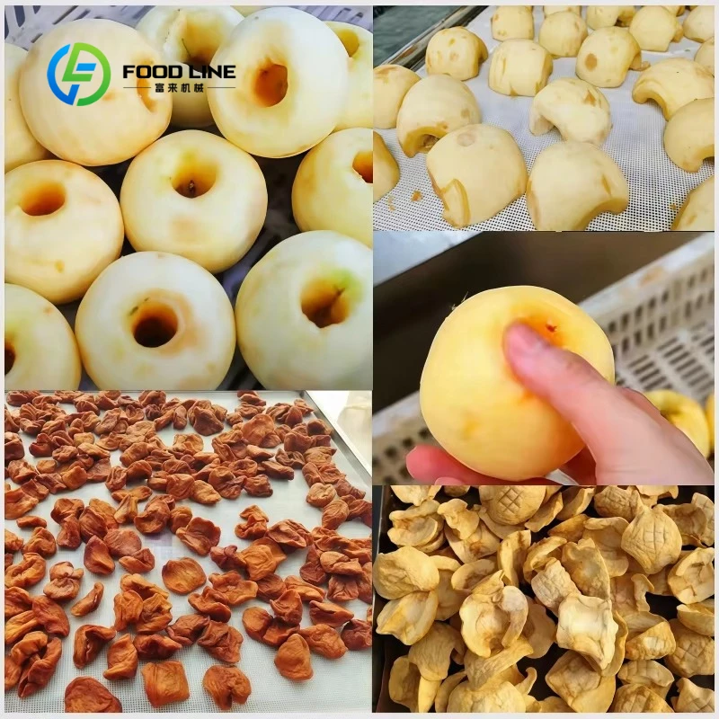 Customized Prune Plum Apricot Core Pitting Remover for Industrial Fruit Processing Automatic Fruit  Apple Peeler - view 6