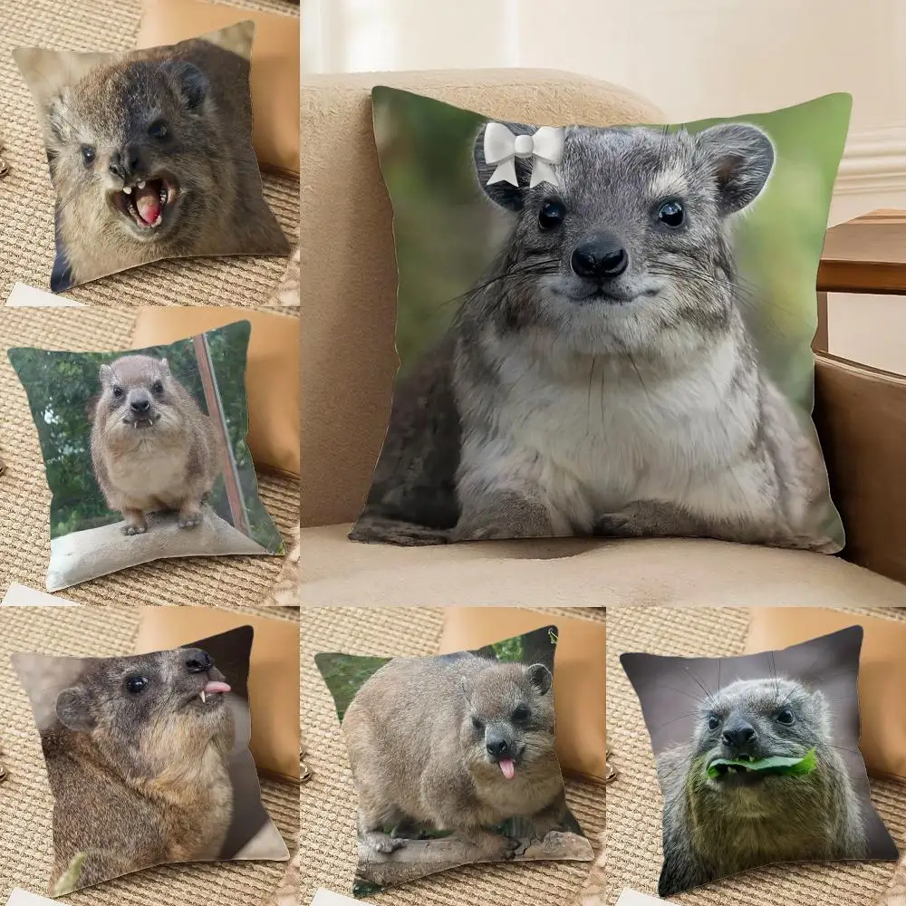 Rock Hyrax Animal funny Cushion Cover Silky Short Plush Invisible Zipper Dustproof Sofa Pillow Case for Home Decor