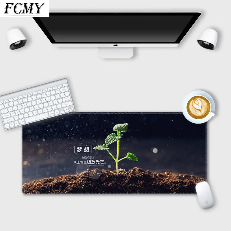 

300x800x2mm Minimalist Computer Mousepad 80x30cm Gaming Mousepad Gamer To Keyboard Laptop Mouse Mats Cute Mouse Pad