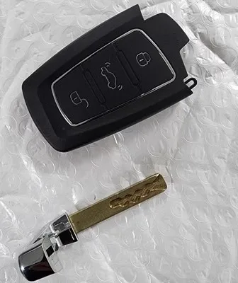 Car FOB Remote Key 434Mhz ID46 ID47 Chip for BAIC BC301 EC200 E130 EC220 EC3 BJEV E150 Baic D20 Car Intelligent Remote Key