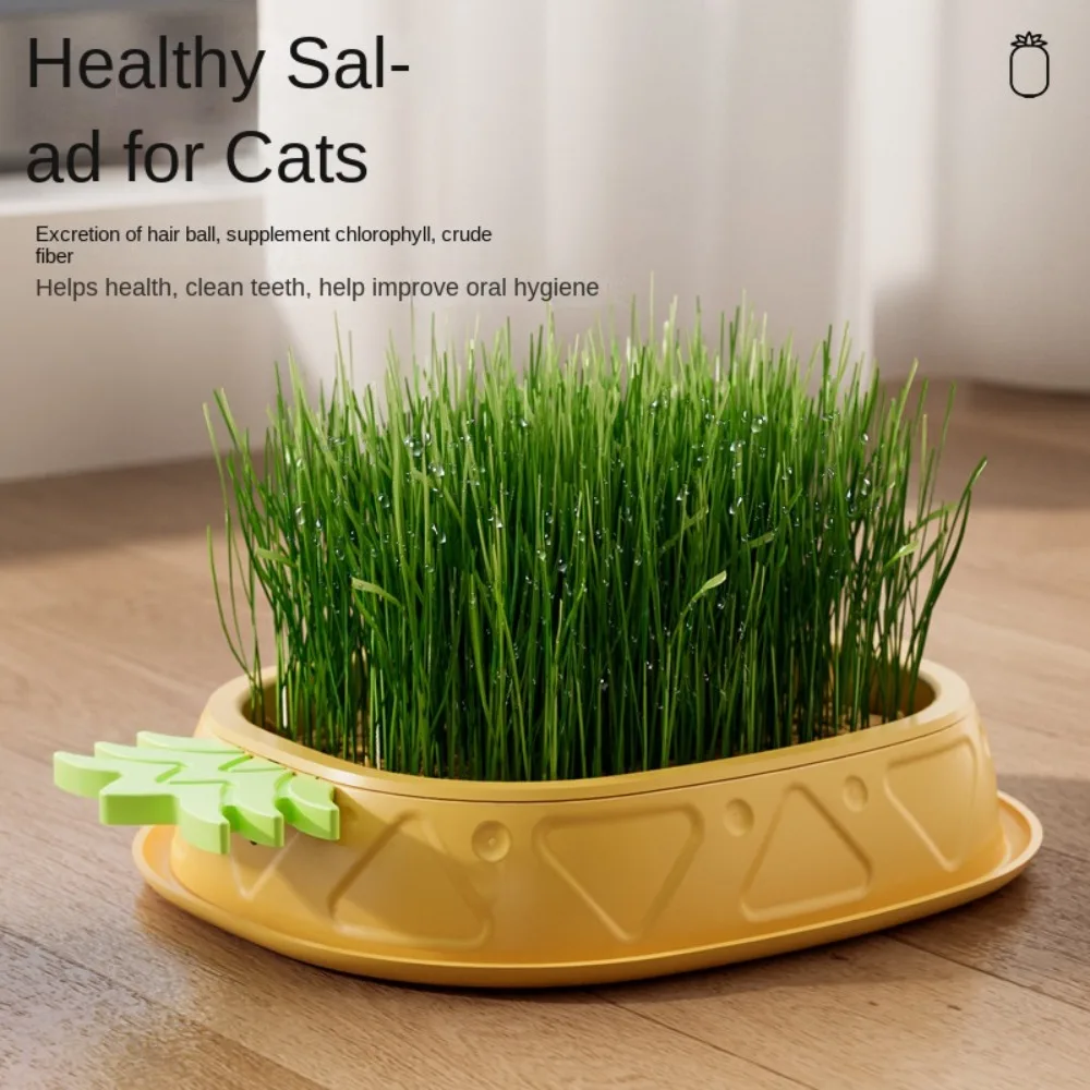 New Pineapple Shape Cat Grass Planting Box Planting Hydroponics Box Soilless Hydroponic Cat Grass Case Garden Seed Sprouter Tray