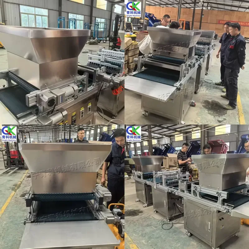 Direct From Manufacturer Full-Automatic Plug Seedling Seeder Roller Seedling Tray Sowing Machine for Agricultural Use