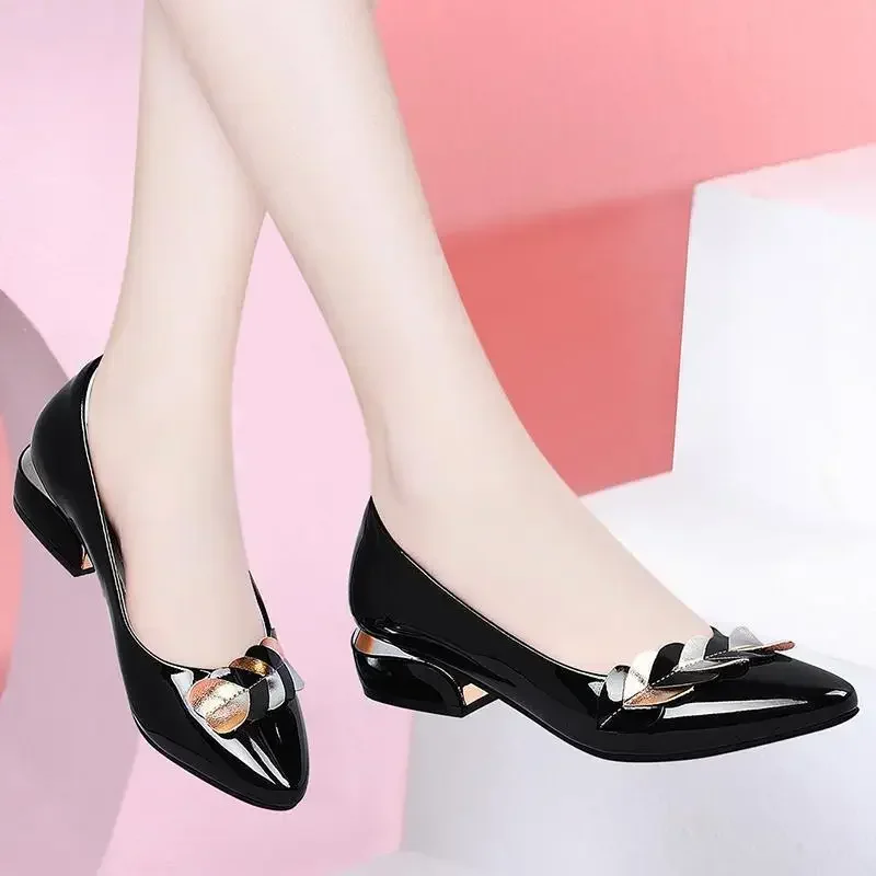 Buty dla kobiet 2024 Moda Podstawowe damskie buty na średnim obcasie Eleganckie czółenka biurowe Kobiety Szpiczaste palce Wsuwane buty damskie ze