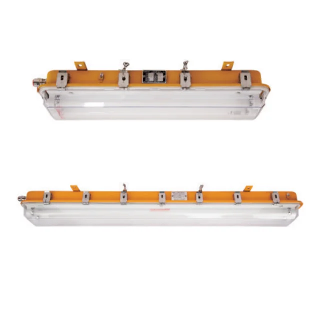 CFY21-2 2*20W Marine Boat Explosion Proof IP66 Fluorescent Explosion-Proof Pendant Light For Chemical Industry