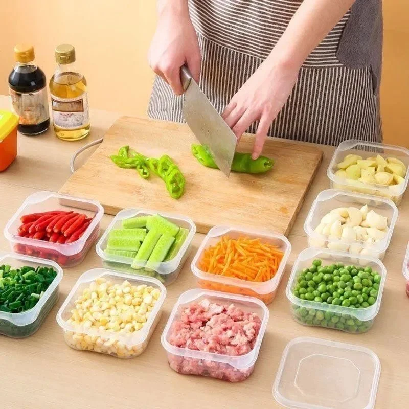 Clear Plastic Food Preservation Box Set 10 Pack, Reusable Kitchen Storage Containers for Meat Seafood Veggies Portion Control