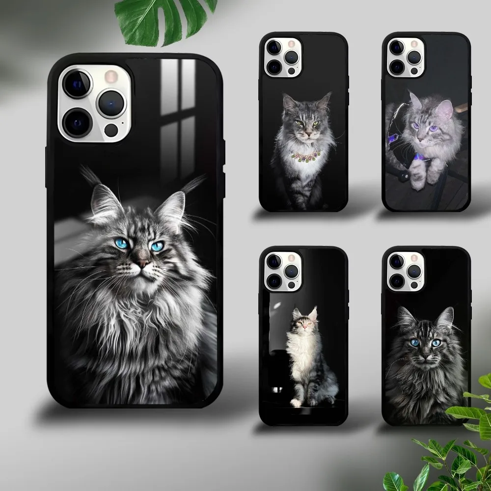 Pet Maine Coon Cat Phone Case For iPhone 16 15 14 13 12 11 Pro Xs Max Mini Plus Celulares Hard Funda