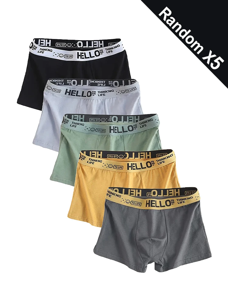 

5Pcs Mens Underwear Male Boxers Sexy Comfortable Breathable Fashion Boys Panties Underwear Boxershorts Men Underpants