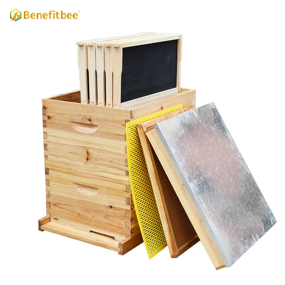 Wholesale bee hives beekeeping wooden langstroth beehive with frame