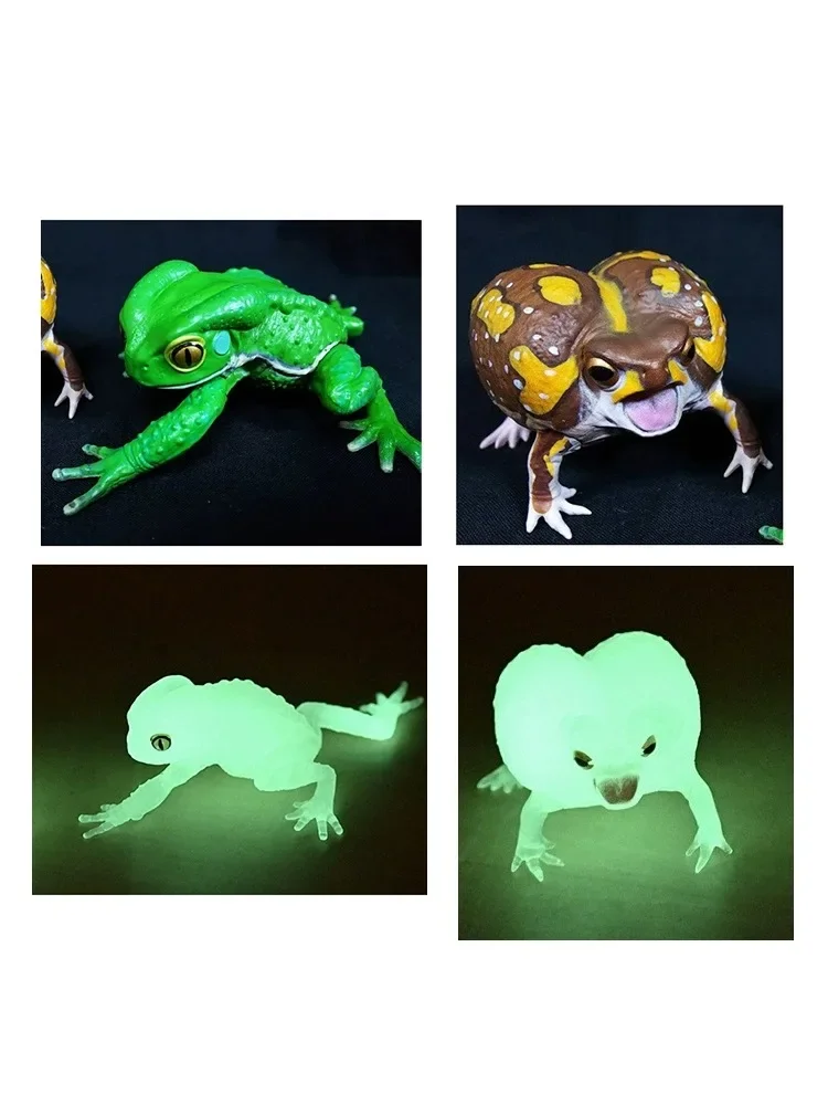 Japanese Genuine Gacha Scale Model Simulation Amphibian Frog Emulational Tabletop Decoration Action Figure Toys