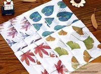 20pcs/lot Lovely Vintage Leaves series Sulfuric acid  Transparent paper Envelope card bag office school supplies  160*110mm