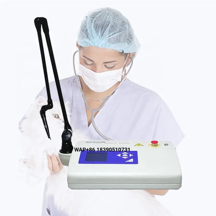 Surgical Urological Oncologist Using Veterinary Device Pet Surgical CO2