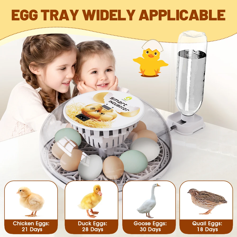 Household Small Chicken, Duck, Goose Egg Incubator Automatically Add Water Intelligent Temperature Control 12 Incubators