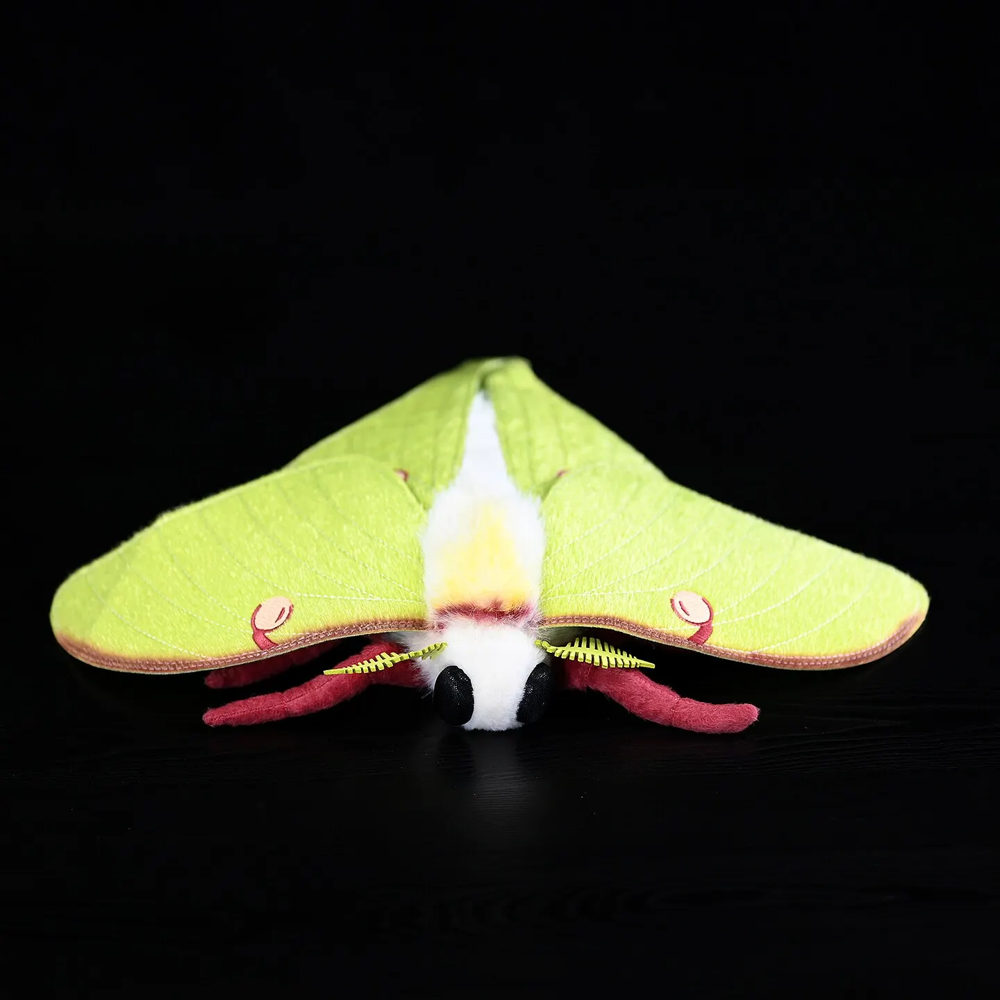 Insect Series,Actias Luna , Moth Knickknack,nicknack,Small Ornaments and Miniature Models