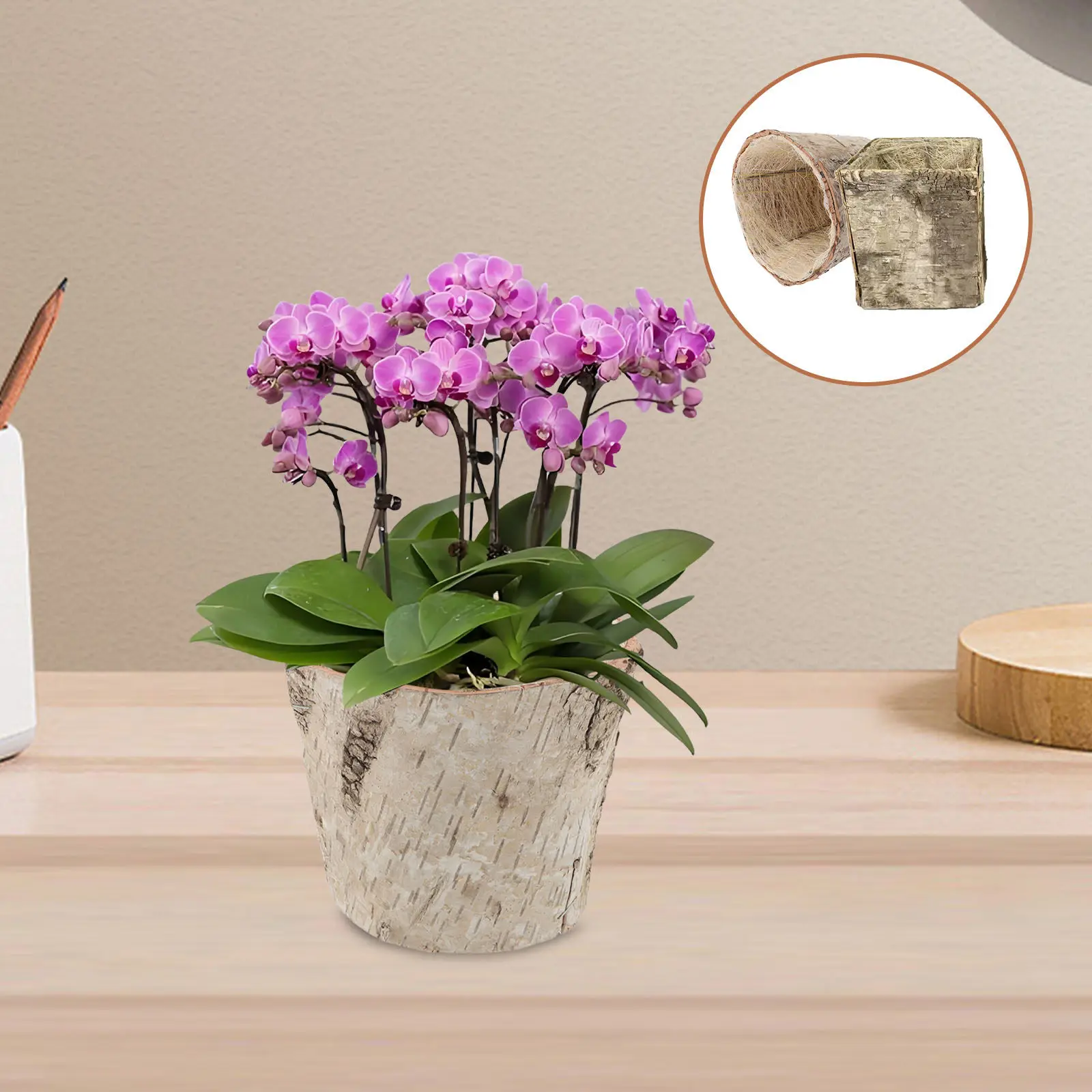 2Pcs Birch Bark Flower Pot Handmade Rustic Wooden Planter 5 Inch Round Square Farmhouse Nursery Container Table Centerpiece