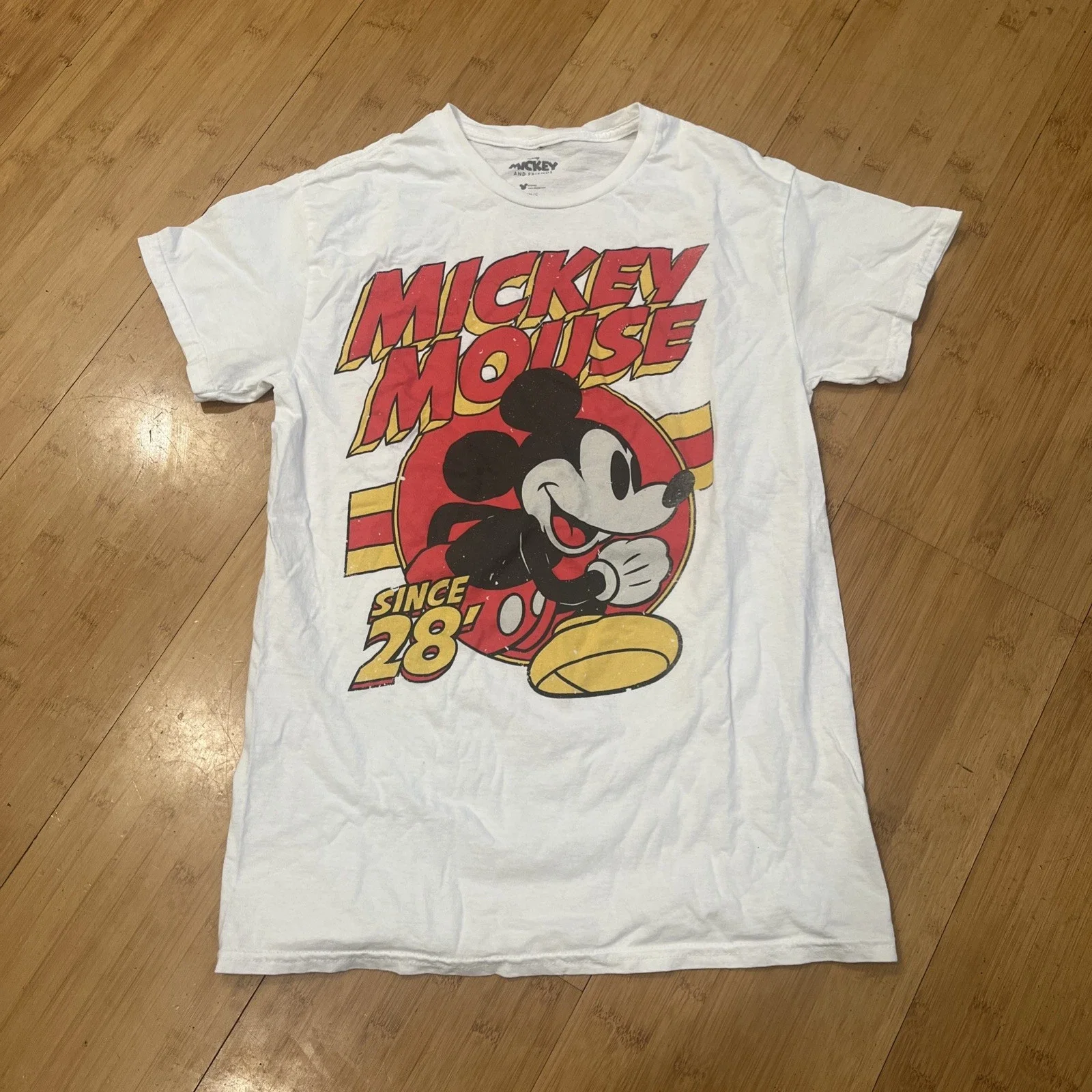 2026 Mickey And His…