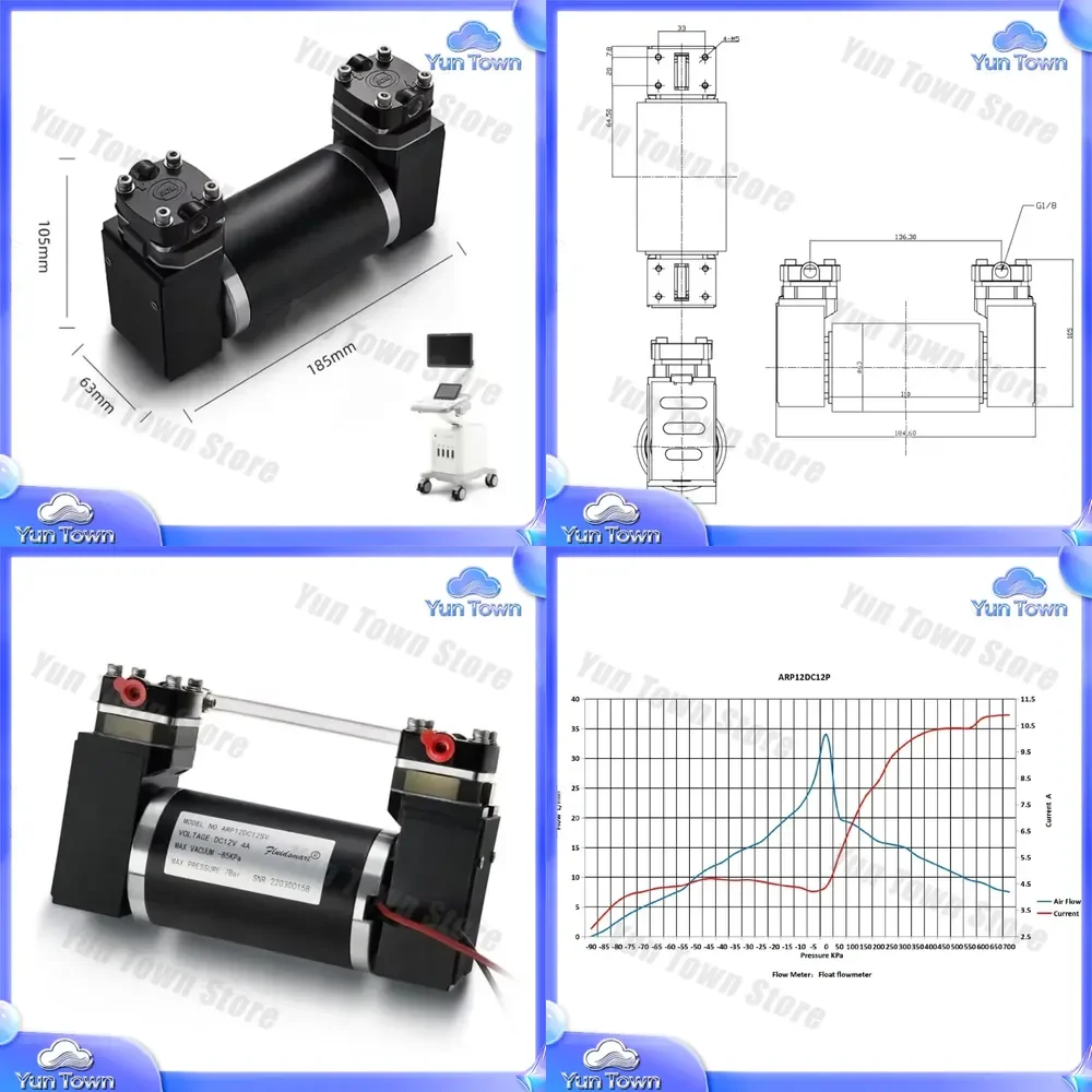 for ARP12DC12P High Pressure Stainless Steel Piston Pump 30LPM Oilless Rocking Vacuum Pump 12V 24V Dual Head for Industrial