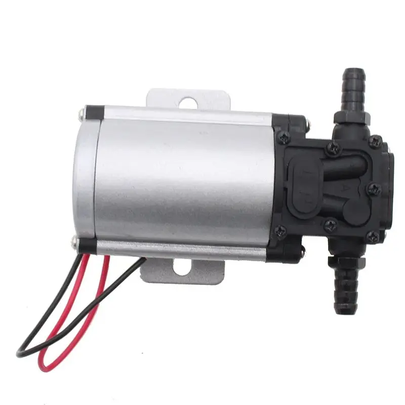 Professional Petro DC Pump 12V 24V Diesel Fuel Oil Extractor Transfer 10L / min