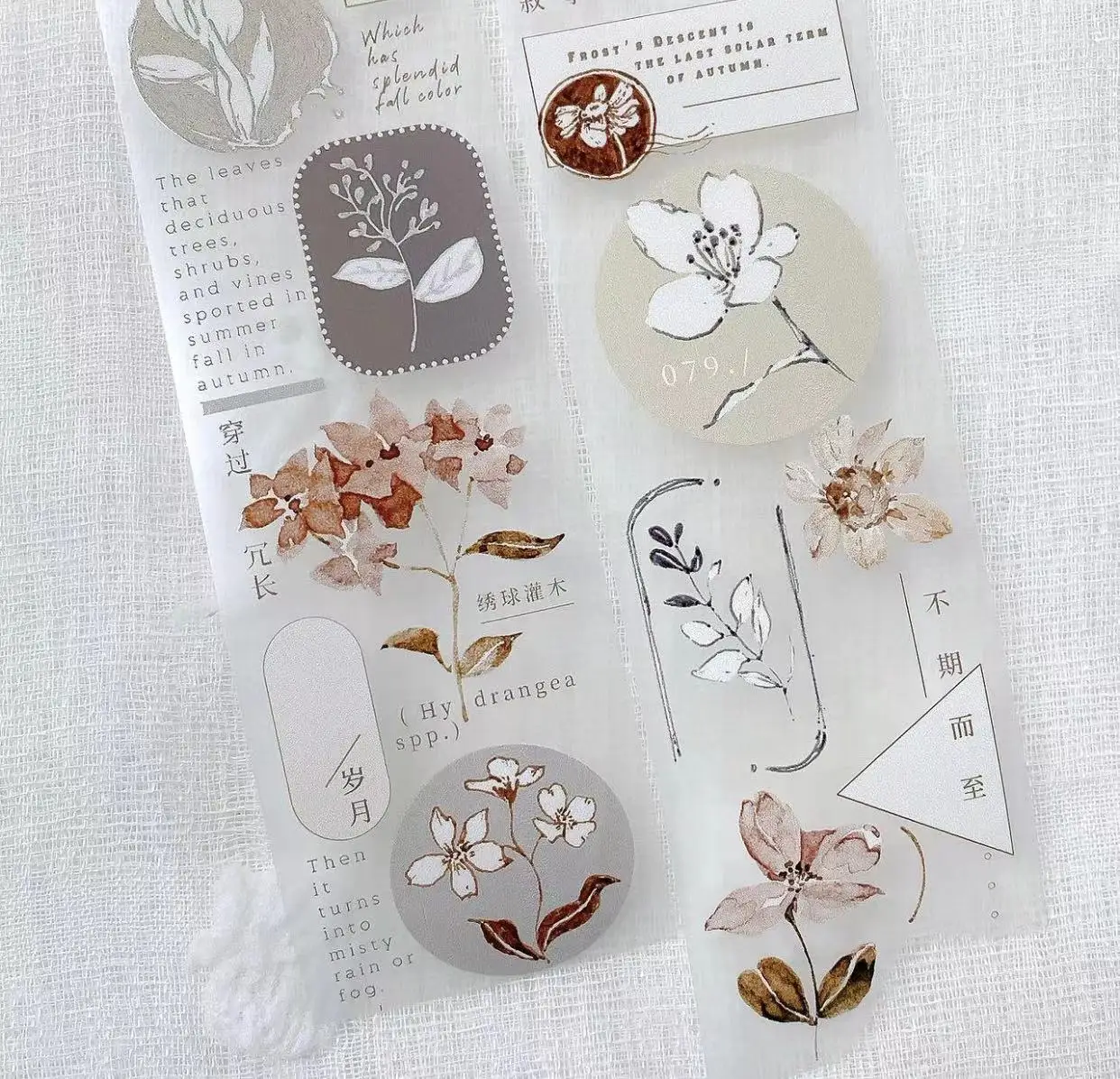 Freckles Tea Vol. 03 Vintage Autumn Leaves Floral Washi PET Tape for Card Making DIY Scrapbooking Plan Decorative Sticker