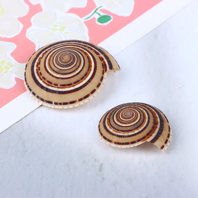 5pc/lot 20-40mm Mixed Spiral Shell Beads Pendants Beach Craft Natural Sea shell Craft Decoration DIY Handmade Tools Accessories