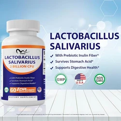 Vitamin Lactobacillus 2 billion -60 DR capsules per capsule - Digestive support - made from prebiotic inulin fiber