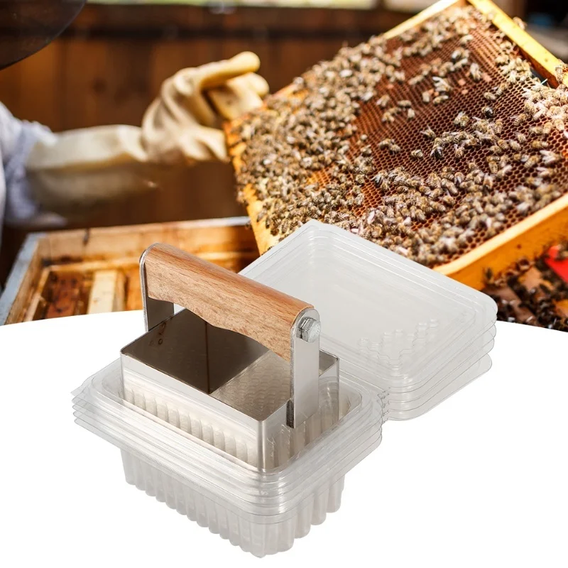 Stainless Steel Comb Honey Cutter Scraper With Plastic Box Cutting Tools Beekeeping Accessory
