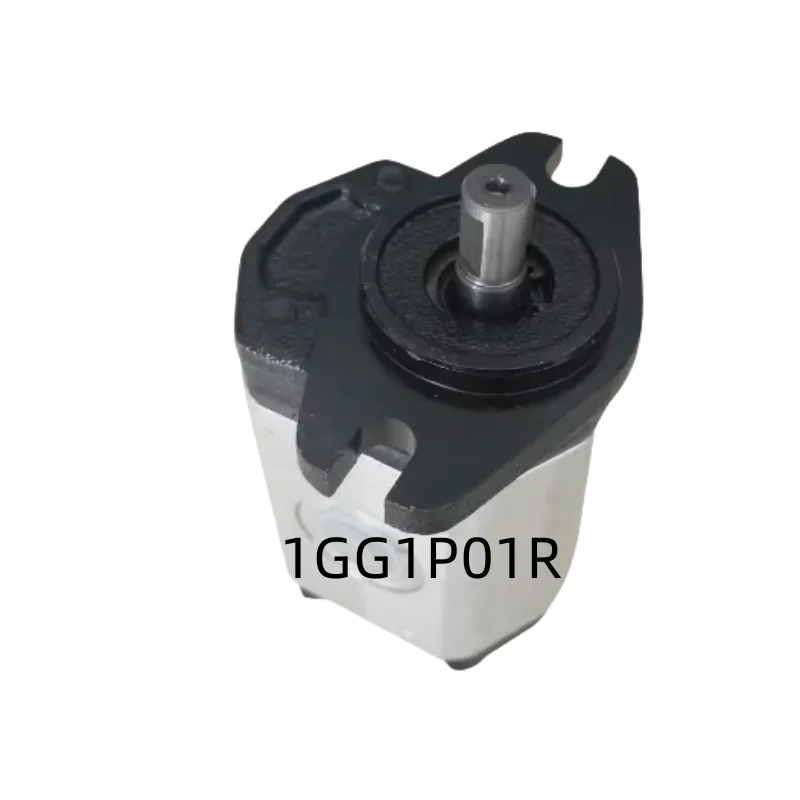 New Original Genuine Gear Pumps    1GG1P01R   1GG1P02R    1GG1P04R   1GG1P05R   1GG1P06R    1GG1P07R
